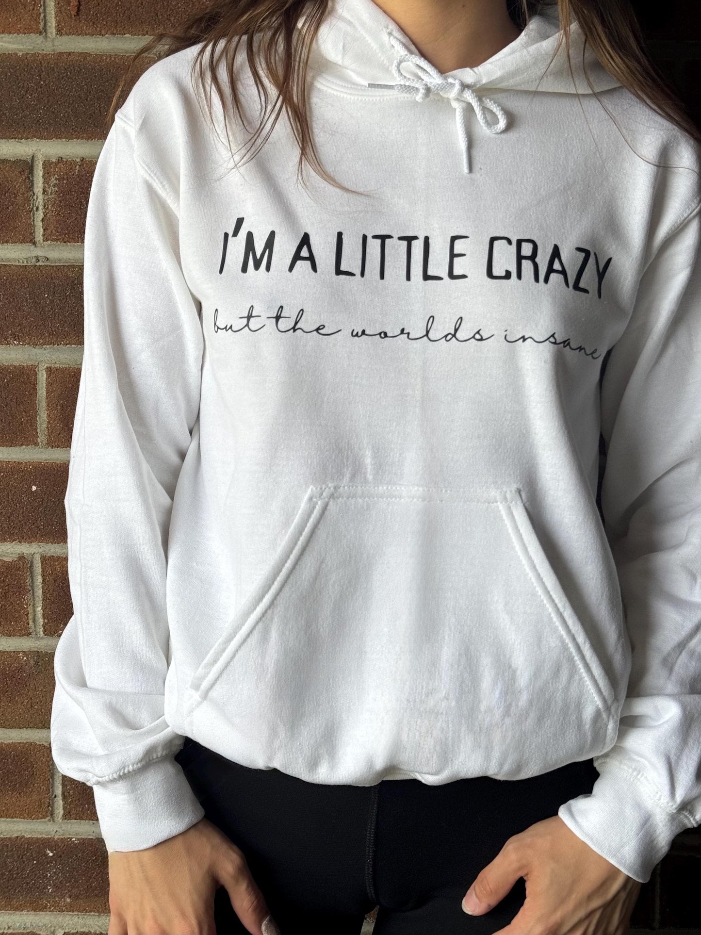 Morgan Wallen I'm a Little Crazy Hoodie